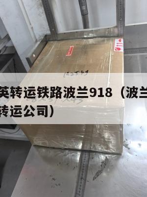 ems中英转运铁路波兰918（波兰转运到国内的转运公司）