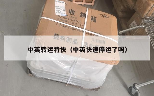 中英转运特快（中英快递停运了吗）