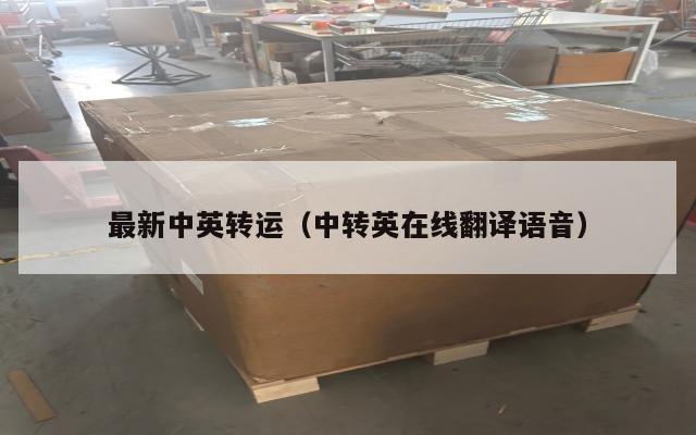 最新中英转运（中转英在线翻译语音）