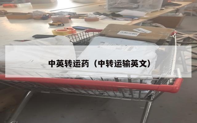 中英转运药（中转运输英文）