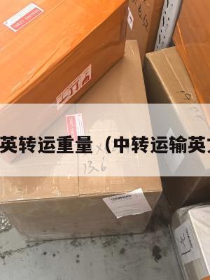 中英转运重量（中转运输英文）