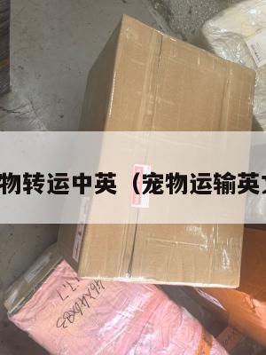 宠物转运中英（宠物运输英文）