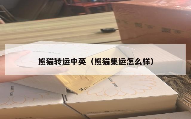 熊猫转运中英（熊猫集运怎么样）