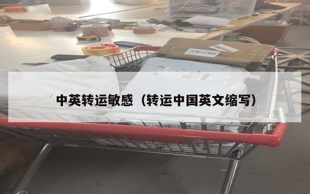 中英转运敏感（转运中国英文缩写）