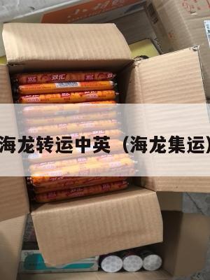 海龙转运中英（海龙集运）