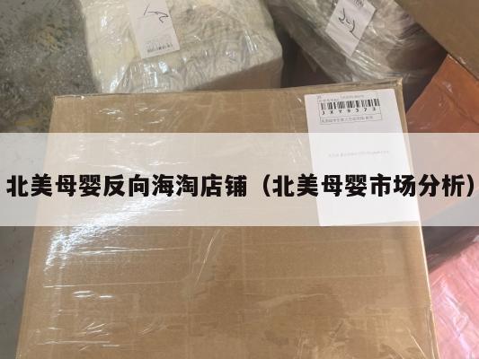 北美母婴反向海淘店铺（北美母婴市场分析）
