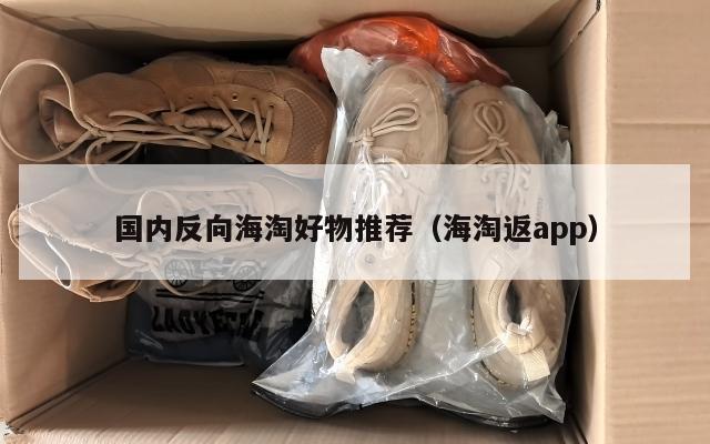 国内反向海淘好物推荐（海淘返app）