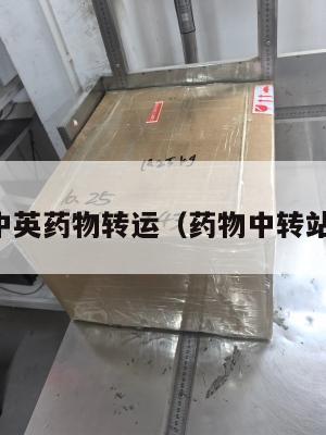 中英药物转运（药物中转站）