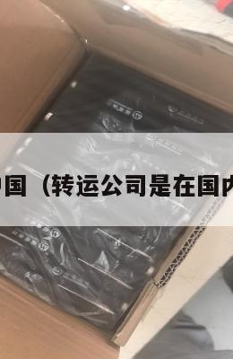 转运公司中国(转运公司是在国内还是国外)