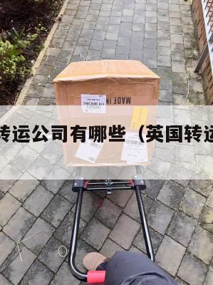 英国中国转运公司有哪些（英国转运到国内哪家公司好）