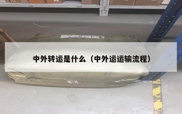 中外转运是什么（中外运运输流程）
