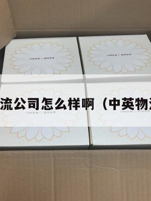 中英物流公司怎么样啊（中英物流查询）