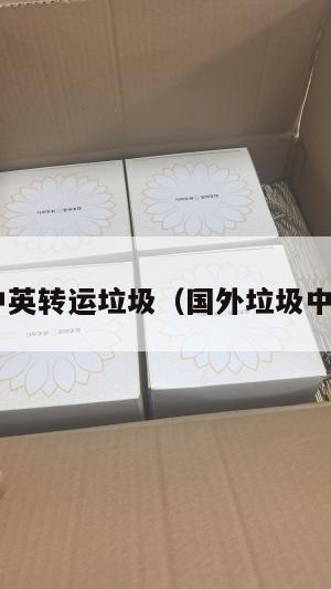 tpx中英转运垃圾（国外垃圾中转站）