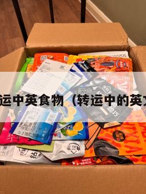 转运中英食物（转运中的英文）