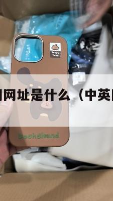 中英物流官网网址是什么（中英国际集团有限公司）