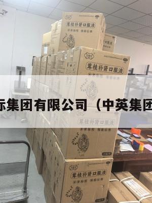 中英国际集团有限公司（中英集团怎么样）