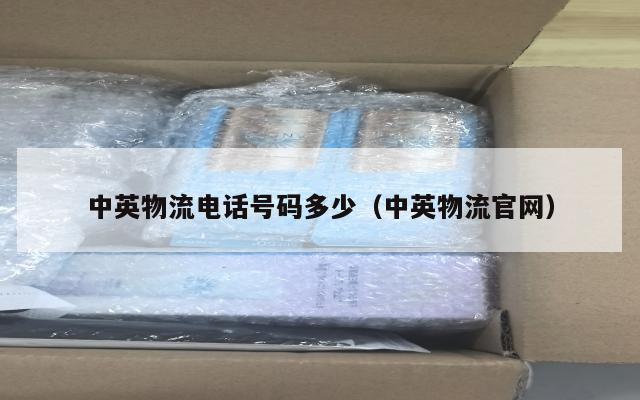 中英物流电话号码多少（中英物流官网）