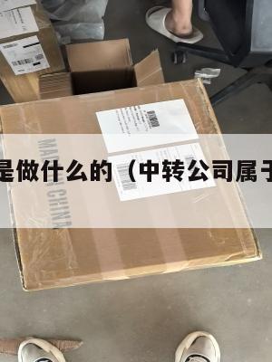 中转公司是做什么的（中转公司属于什么行业）
