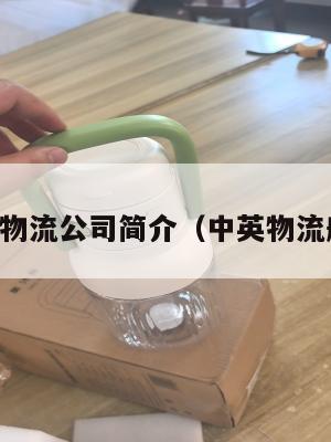 中英物流公司简介（中英物流航班）