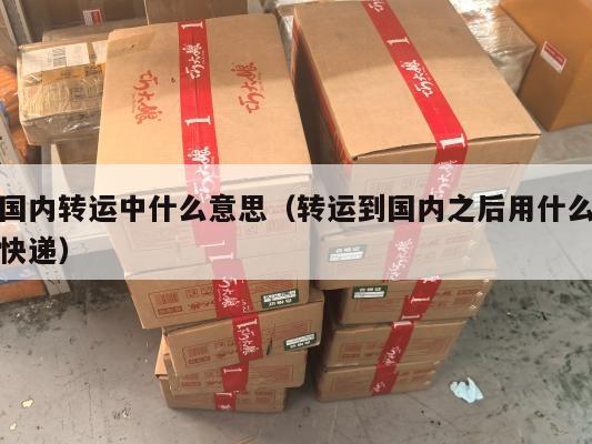国内转运中什么意思（转运到国内之后用什么快递）