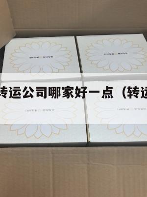 中国国际转运公司哪家好一点（转运中国和转运国际）