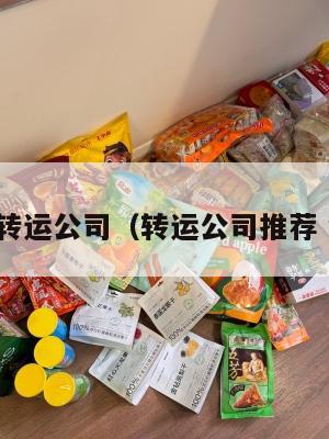 国内转运公司（转运公司推荐 知乎）