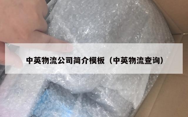 中英物流公司简介模板（中英物流查询）