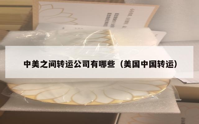 中美之间转运公司有哪些（美国中国转运）
