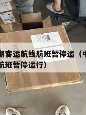 中英间定期客运航线航班暂停运（中英间定期客运航线航班暂停运行）