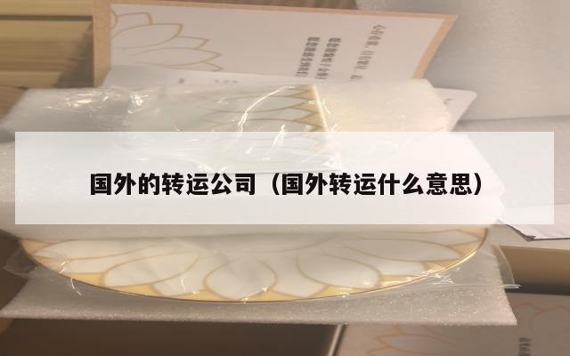 国外的转运公司（国外转运什么意思）