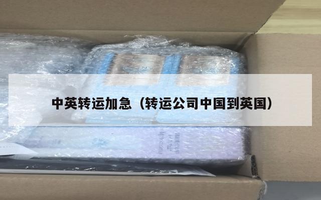 中英转运加急（转运公司中国到英国）