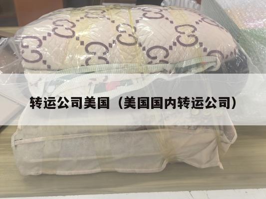 转运公司美国(美国国内转运公司)