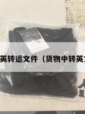 中英转运文件（货物中转英文）