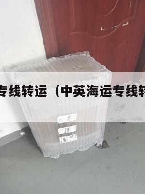 中英海运专线转运（中英海运专线转运中心在哪）