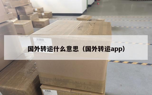 国外转运什么意思（国外转运app）