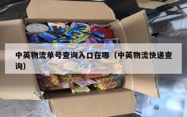 中英物流单号查询入口在哪（中英物流快递查询）