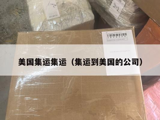 美国集运集运（集运到美国的公司）