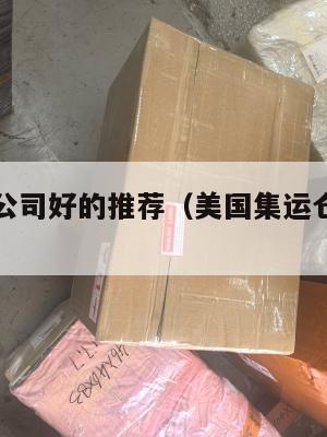 美国集运公司好的推荐（美国集运仓地址在哪里）