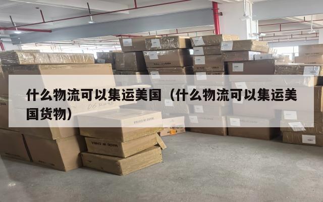 什么物流可以集运美国（什么物流可以集运美国货物）