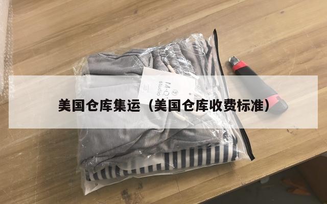 美国仓库集运（美国仓库收费标准）