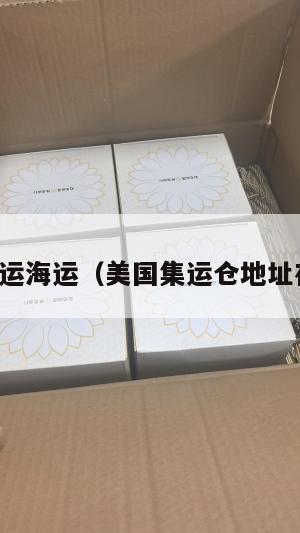 美国集运海运（美国集运仓地址在哪里）