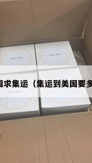 美国求集运（集运到美国要多久）