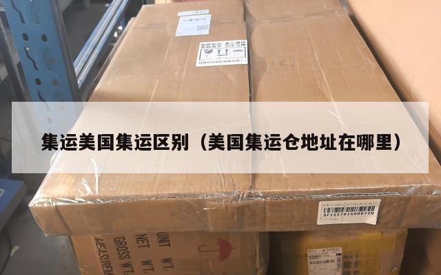 集运美国集运区别（美国集运仓地址在哪里）