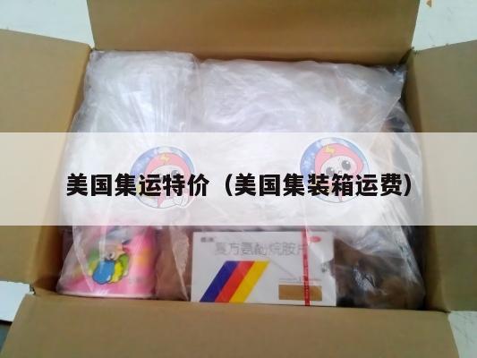 美国集运特价（美国集装箱运费）