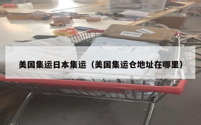 美国集运日本集运（美国集运仓地址在哪里）