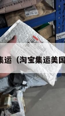 美国淘宝集运（淘宝集运美国收费标准）