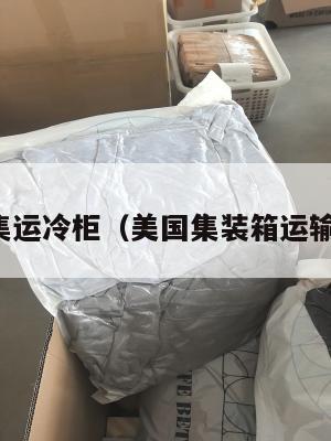 美国集运冷柜（美国集装箱运输公司）