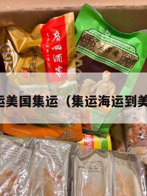 集运美国集运（集运海运到美国）
