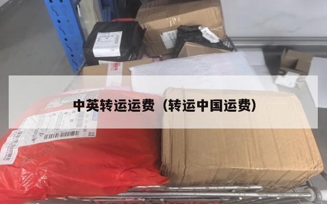 中英转运运费（转运中国运费）