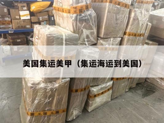 美国集运美甲（集运海运到美国）